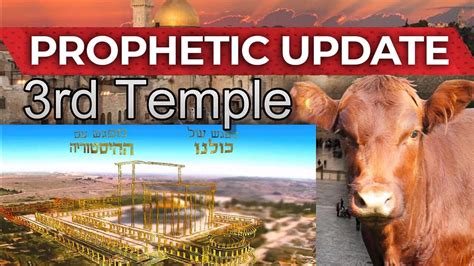 passover 2024 red heifer sacrifice